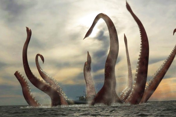 Kraken18 at