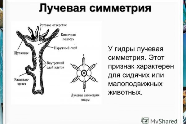 Кракен ссылка зайти