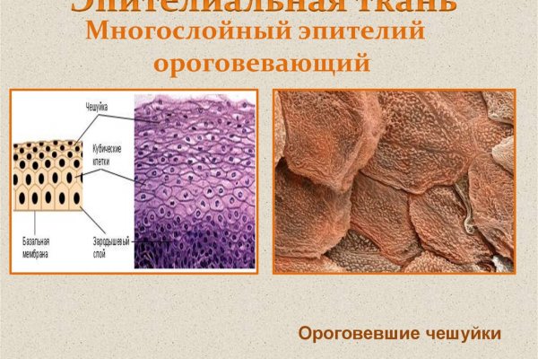 Как восстановить пароль на кракене