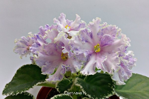 Kra29at